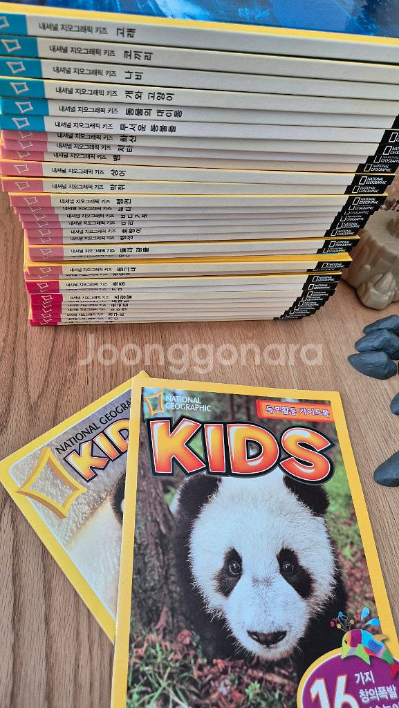 내셔널지오그래픽 키즈 책 전권 & 동물 피규어 세트--1