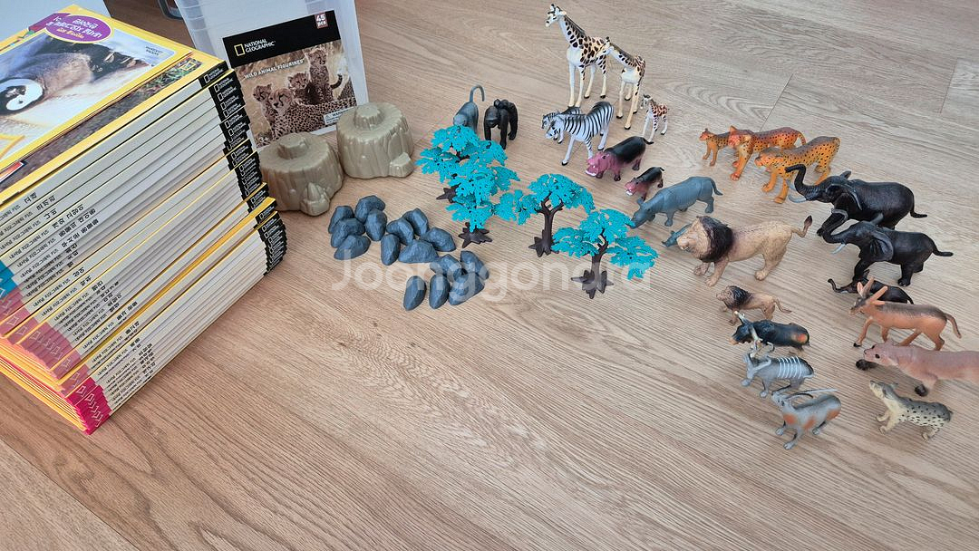 내셔널지오그래픽 키즈 책 전권 & 동물 피규어 세트--0