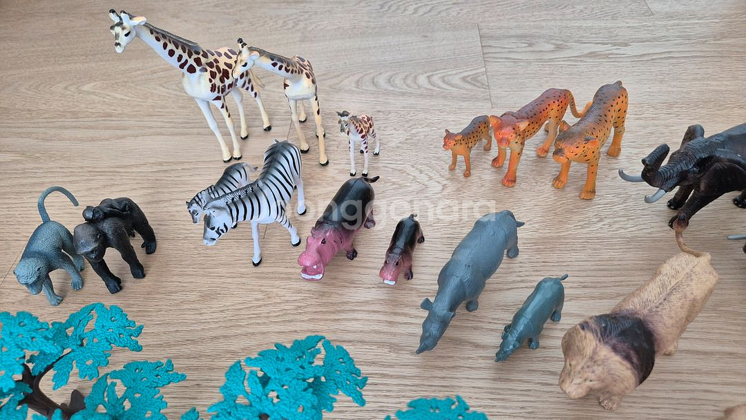 내셔널지오그래픽 키즈 책 전권 & 동물 피규어 세트--6