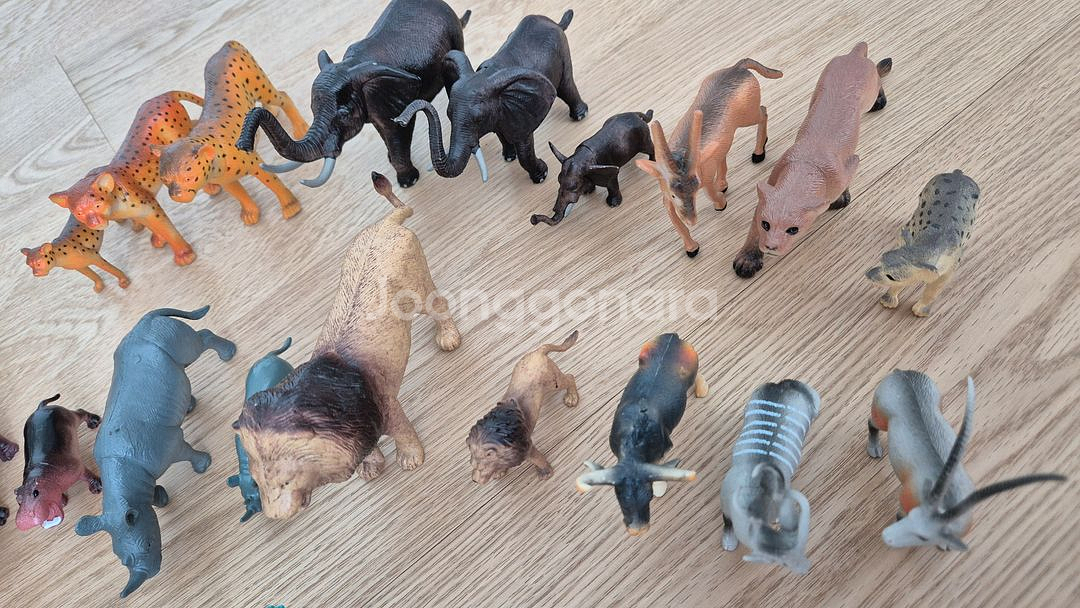 내셔널지오그래픽 키즈 책 전권 & 동물 피규어 세트--5