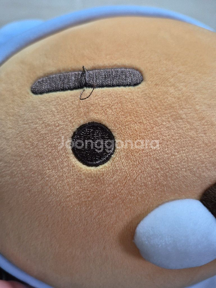 카카오프렌즈 정품 후드라이언 바디필로우--3