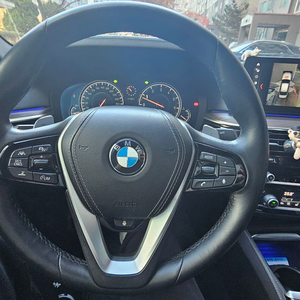 BMW 럭셔리 핸들