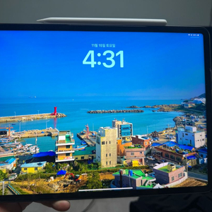 아이패드 12.9 5세대 (M1)+애플팬슬 2세대