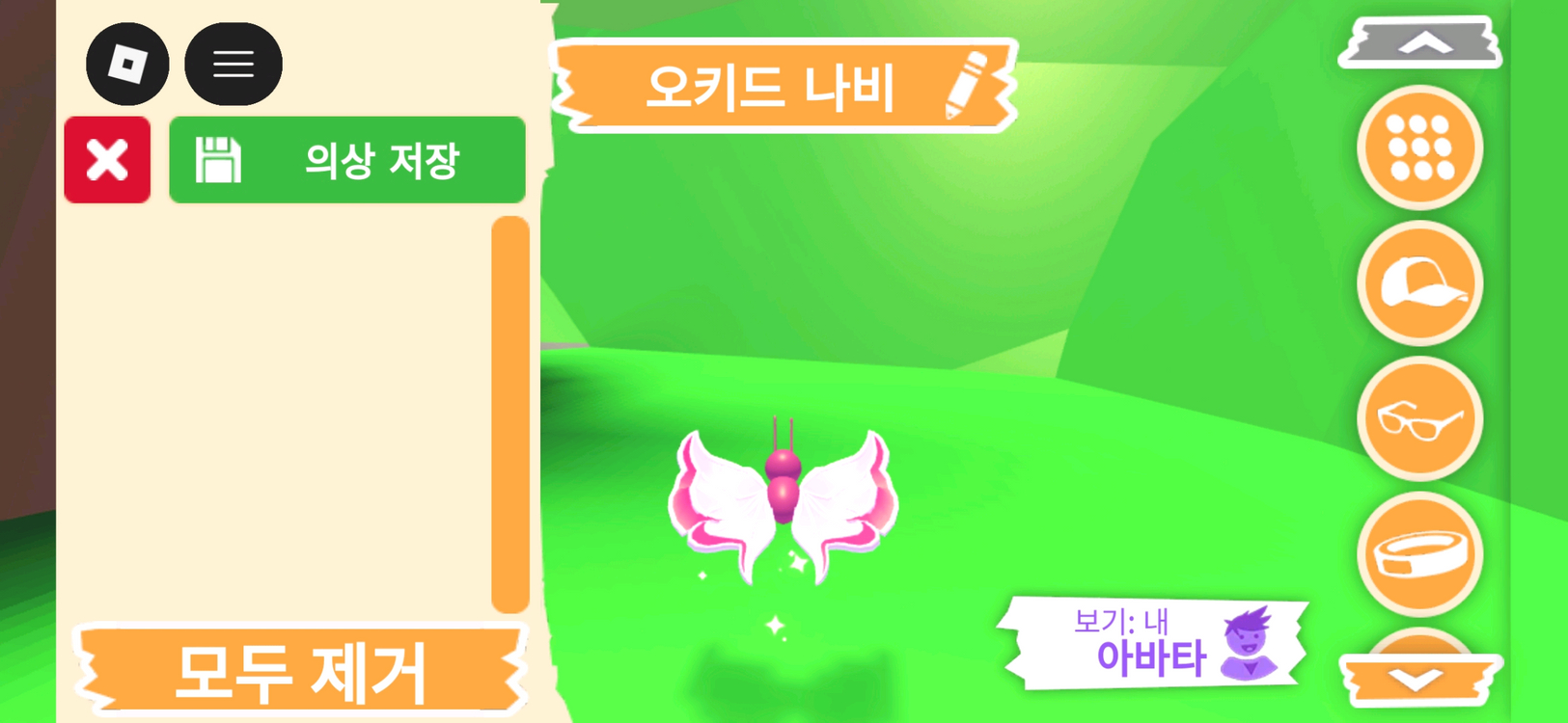 입양하세요 펫 오키드 나비 판매합니다. 이미지