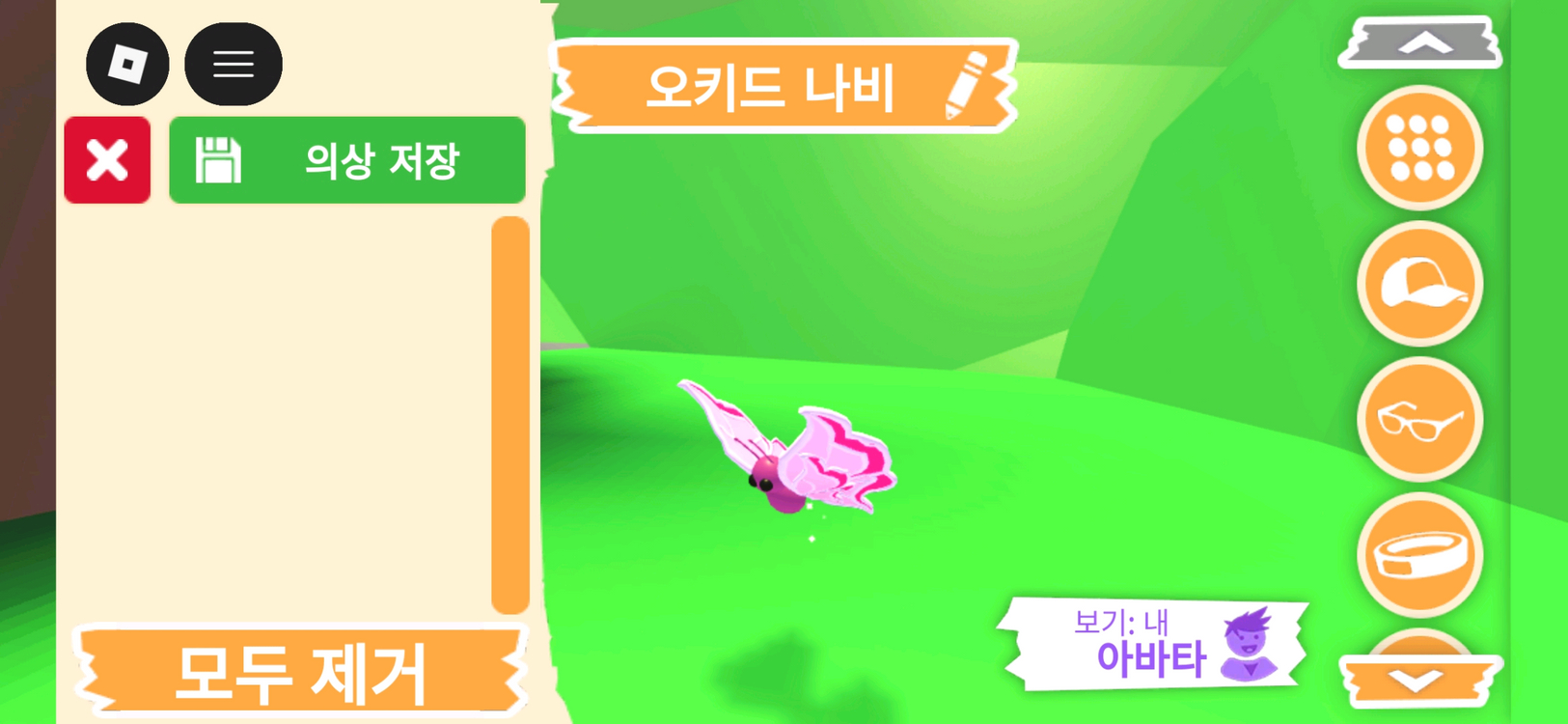 입양하세요 펫 오키드 나비 판매합니다. 이미지