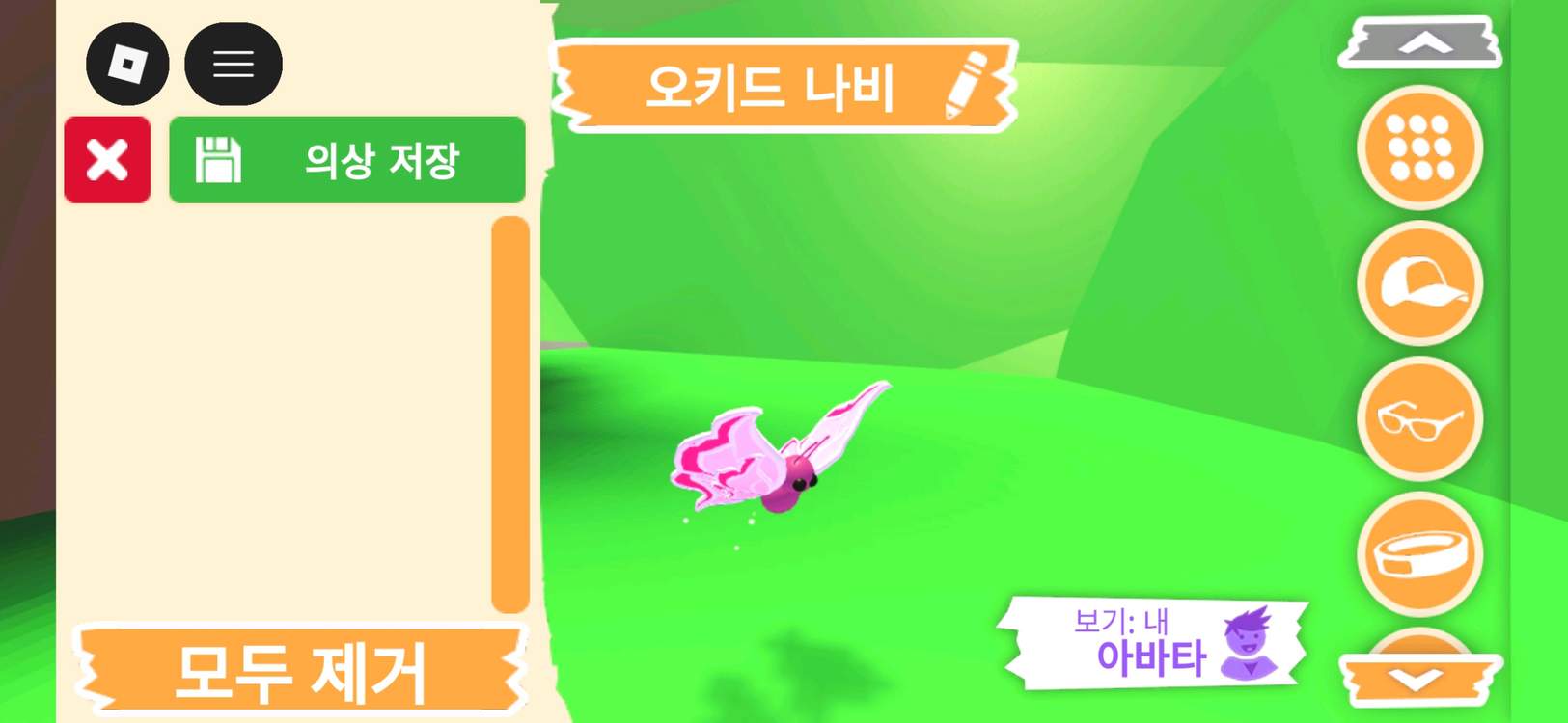 입양하세요 펫 오키드 나비 판매합니다. 이미지