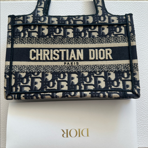 디올 오블리크 미니백