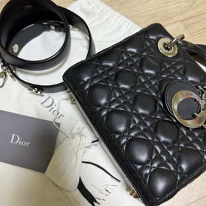 디올 레이디백 스몰