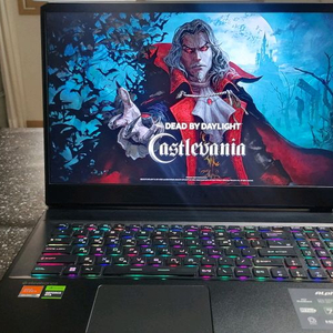 MSI 하이엔드 17.3인치 라이젠9 게이밍 노트북/램64G,4070