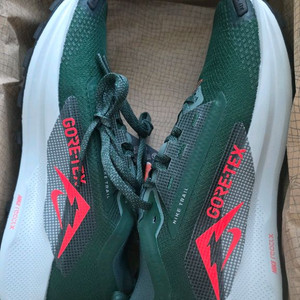 나이키 페가수스 트레일 5 고어텍스 클레이그린 260