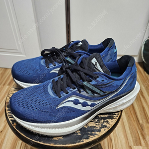 써코니 트라이엄프 20 (265mm) 러닝화