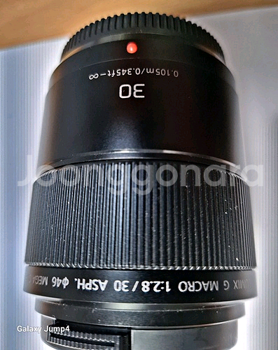 파나소닉 루믹스 G MACRO 30mm F2.8 ASPH MEGA OIS--0