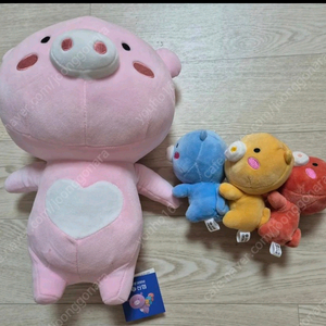 신협 최신 돼지 인형 큰인형 돼지 인형 키링 판매