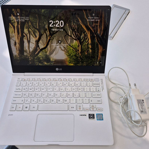 LG그램 13인치 노트북 13ZD980-GX50K