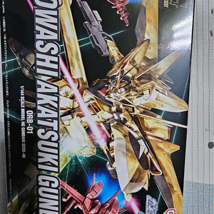 hg 아카츠키 2종