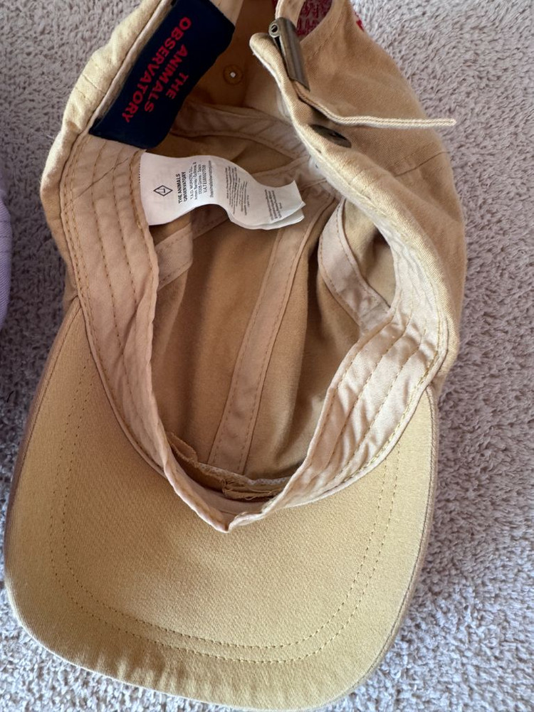 타오tao야구모자 볼캡 보보쇼즈 버버리키즈 캉골 이미스 아프리콧 리미떼두두 이미지