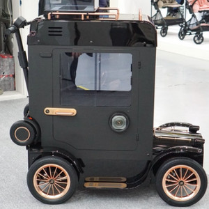 디트로네s 23년식 하이리무진 팝니다