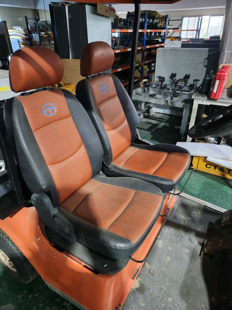 전동 골프카. 전동운반차. 골프카트. 전동차. 전기트럭 이미지