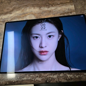 갤럭시탭 S10 울트라 512기가 와이파이