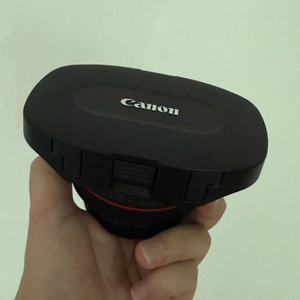 rf 5.2mm f2.8L Dual fisheye