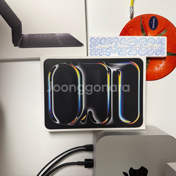 아이패드 프로 11 M4 1TB 나노텍스처 + 매직키보드 + 펜슬 프로 신품급 풀박--0