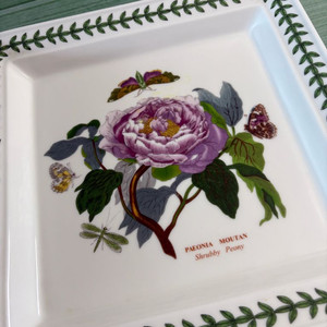 포토메리온 사작접시