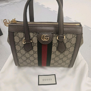 오피디아 GG 캔버스 핸드백