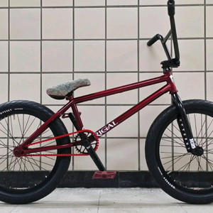 슈퍼 커스텀 BMX