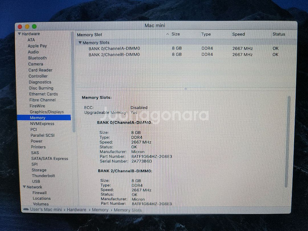Mac Mini2018 A1993(i7-8700, 16GB) 최상급 판매합니다.--6