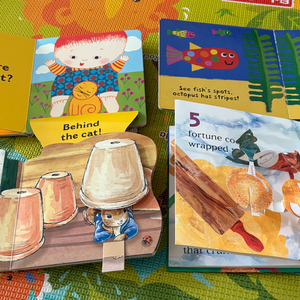 영어 보드북 플랩북 조작북 31권