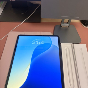 아이패드 프로 6세대 12.9 m2 256기가 실버 와이파이+애펜2