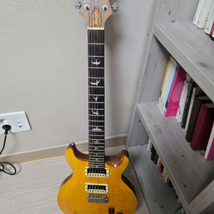 산타나 se 일렉기타