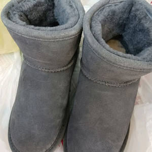 베어파우어그us5