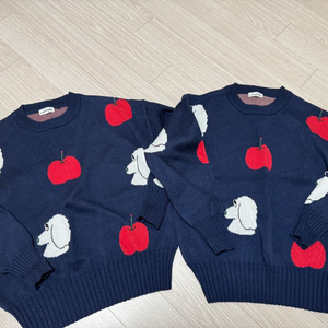 쌍둥이) 리미떼두두 퍼피니트 xl 일괄 택포