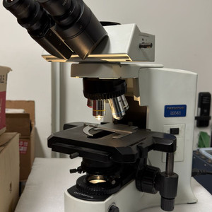 올림푸스 BX41TF 현미경 이미지