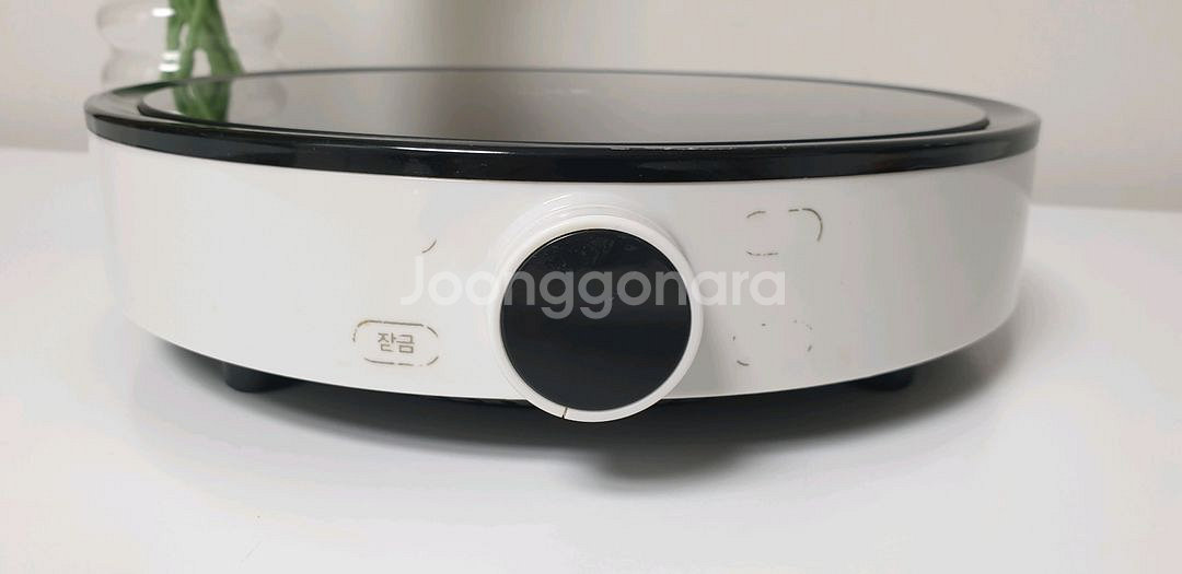 쌍떼몽 1구 인덕션 레인지--2