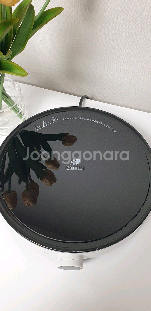 쌍떼몽 1구 인덕션 레인지--0