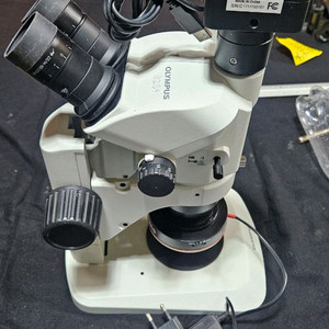 올림푸스 실체현미경 SZ61TR CAMERA 이미지