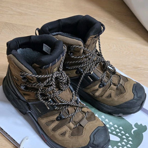 살로몬 퀘스트 4 GTX 260