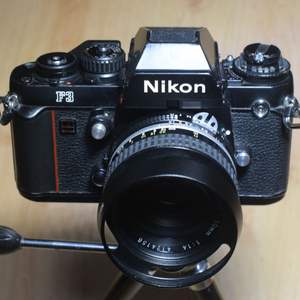 니콘 F3 필름카메라
