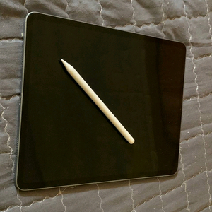 아이패드프로12.9 5세대 512GB 스그색상