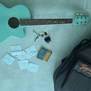 세고비아 Photogenic Mint 어쿠스틱 기타