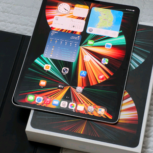 아이패드 프로 5세대 12.9인치 M1 128GB 와이파이 실버 S급 풀박스 + 케이스 등 75만