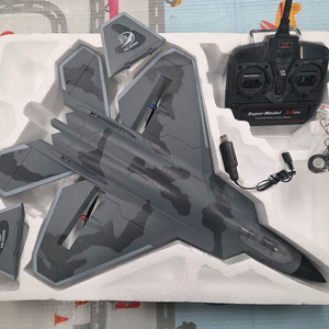 대형 전투기 RC 플라이모어 모델