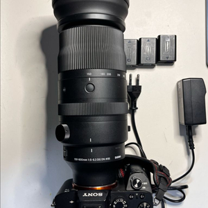 (급처) 소니 a7m2, 시그마 150-600 판매합니다(급처) 소니 a7m2, 시그마 150-600 판매합니다