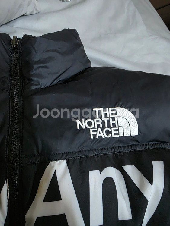 슈프림 노스페이스 레터링 눕시 L--1