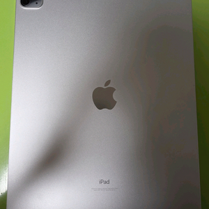 아이패드 프로 12.9 5세대 512GB Cellular모델 실버 팝니다.