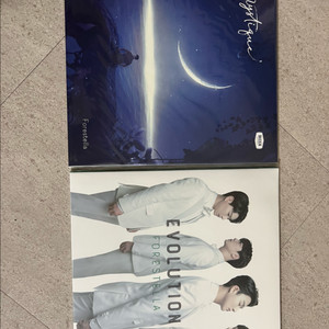 포레스텔라 1,2집 LP 미개봉 일괄판매합니다