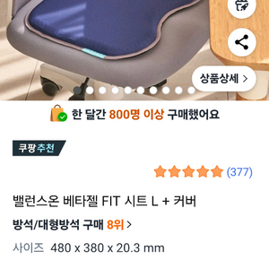 밸런스온 베타젤피트 라지