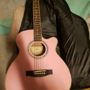 피닉스 젠 픽업 일렉트릭 기타, 통기타